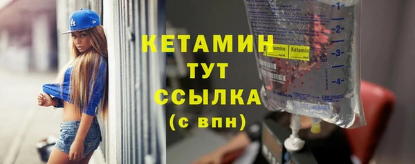 гидра Вязьма