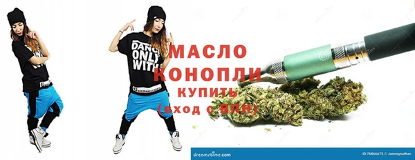 гидра Вязьма