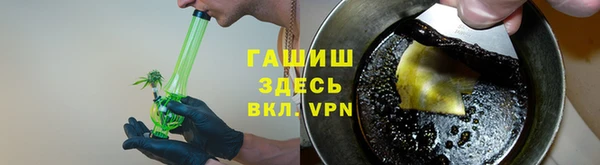 гидра Вязьма