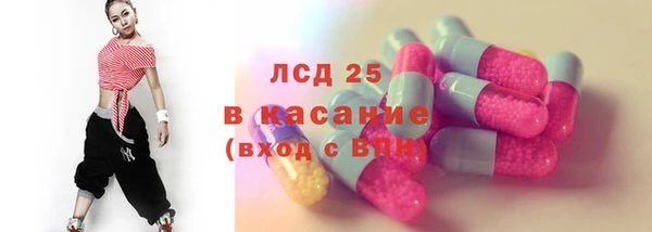 гидра Вязьма