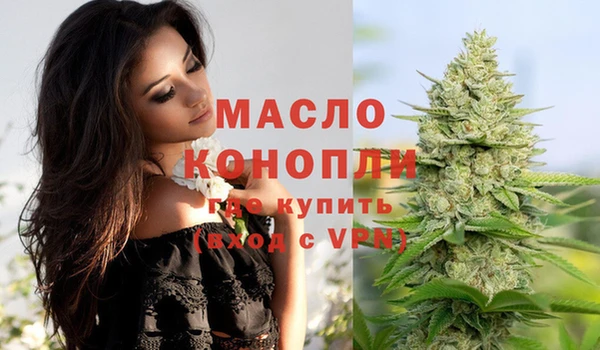гидра Вязьма