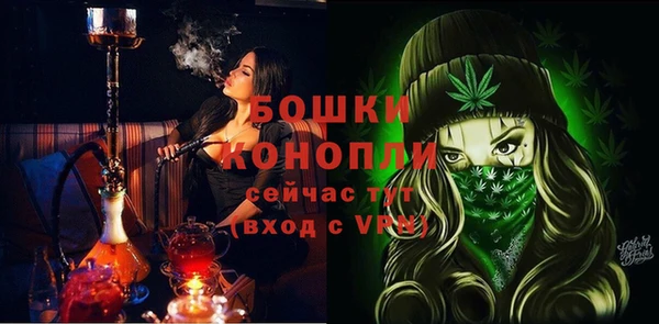 гидра Вязьма