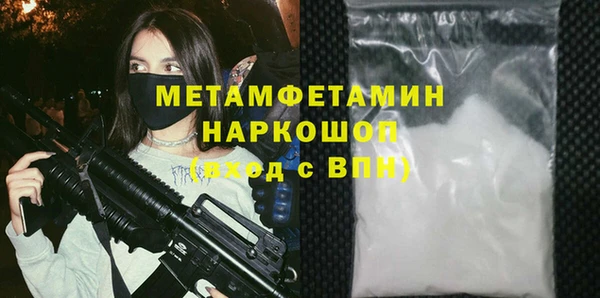гидра Вязьма