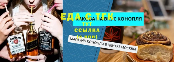 гидра Вязьма